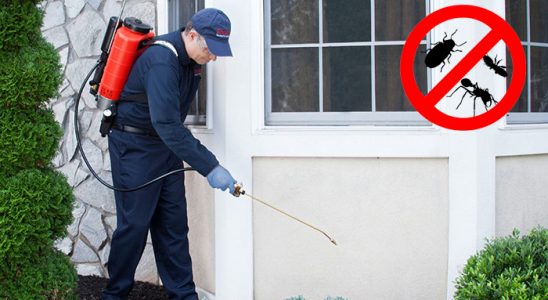 Ordu Dezenfeksiyon böcek ilaçlama ve haşere kontrolü — ilaclama-tr.com